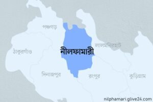নীলফামারীতে বিদ্যালয়ের গেটের নিচে চাপা পড়ে ৪ বছরের শিশু নিহত