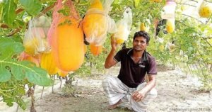 প্রথমবারেই তরমুজে চমক