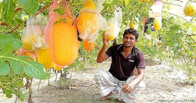 প্রথমবারেই তরমুজে চমক